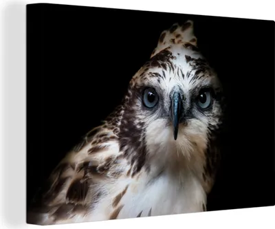 Produktbild von OneMillionCanvasses® - Leinwandbilder - 140x90 cm, Raubvogelkopf, Wandbilder Kunstdruck Wanddekoration