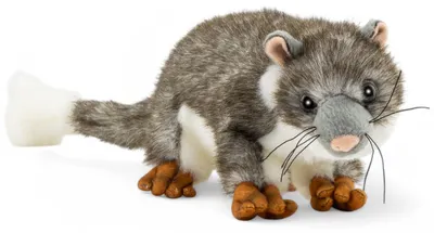 Immagine prodotto di Carl Dick opossum di circa 22 cm, peluche, peluche, peluche 3727
