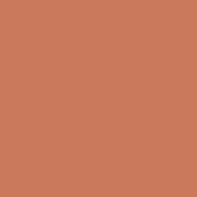 Zdjęcie produktu dla Citadel Layer Paint (Cadian Fleshtone) - pomarańczowy