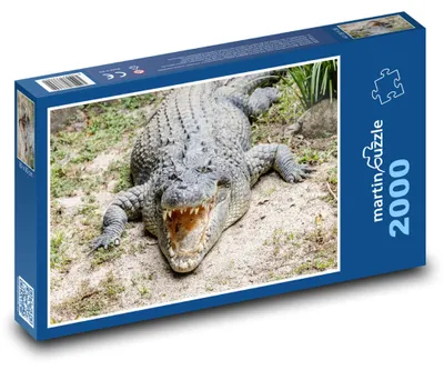 Obrázek produktu pro martinpuzzle - Puzzle 2000 - Krokodýl