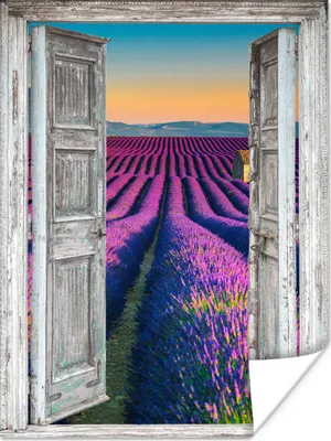 Produktbild von MuchoWow® Poster Lavendel - Sommer - Ausblick - Blumen 120x160 cm - Wandbilder