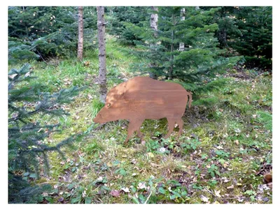 Produktbild von Edelrost Wildschwein