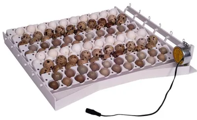 Productafbeelding van Automatisch keersysteem 42 / 120 eieren - flexibel keersysteem voor kippen- en kwarteleieren