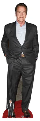 Image de Arnold Schwarzenegger - Star VIP - stand stand up en carton - 62x188 cm