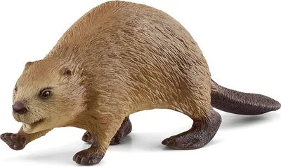 Produktbild von SLH14855 Schleich Wild Life - Biber, Figur für Kinder ab 3 Jahren
