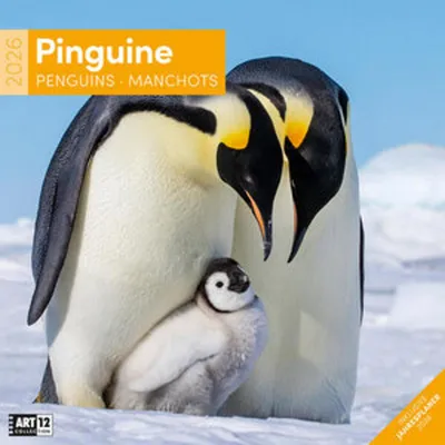 Produktbild von Pinguine Broschürenkalender 2026