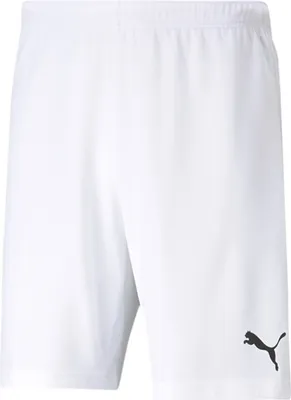 Produktbild von Puma Teamrise Short Jr 003 003 164
