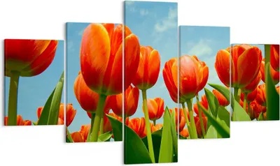 Produktbild von Bild auf Leinwand - Leinwandbild - Tulpe Blume blauer Himmel - 125x70cm - Wand Bild - Wanddeko - Leinwanddruck - Bilder - Kunstdruck - Wanddekoration - Leinwand bilder - Wandkunst - EA125x70-1062