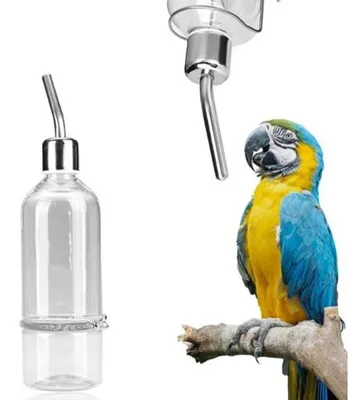 Image de Distributeur d'eau automatique pour oiseaux et petits animaux - Acier inoxydable - Alimentation sans pression - Fontaine à eau pour chiens et chats
