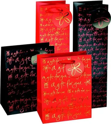 Produktbild von 12 Geschenktaschen / Geschenktüten / Maße: 362x105x105mm / für große Flaschen