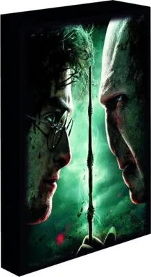 Zdjęcie produktu dla Obraz LED 30x40, Harry Potter - Harry kontra Voldemort