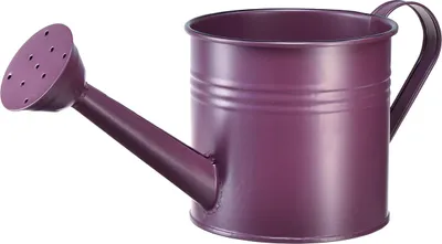 Produktbild von Vintage Deko Gießkanne Metall für Blumen und Pflanzen