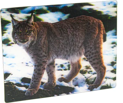 Produktbild von 3D Luchs Magnet, 9 x 7 cm