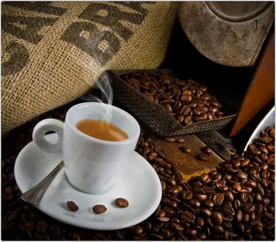 Produktbild von Spritzschutz Herdabdeckplatte Schneidebrett aus Glas Kaffeetasse und Kaffeebohnen 1-Teilig (60x52cm)