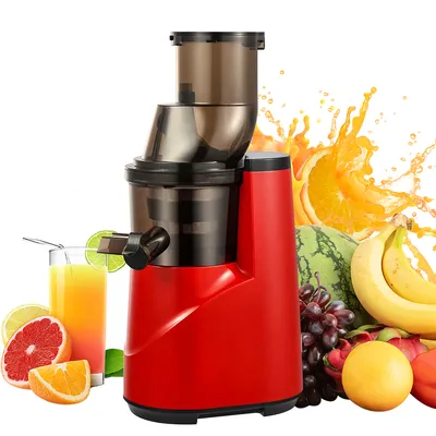 Produktbild von Kaltpresse Entsafter, 300W Kauentsafter, aufgerüsteter Entsafter mit hoher Saftausgabe, geeignet für alle Früchte und Gemüse, einfach zu reinigen