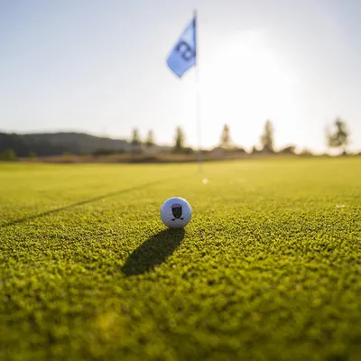 Produktbild von mydays Golfschnupperkurs Niedernberg; Erlebnis verschenken oder selbst erleben; Gutschein für 1 Person(en)
