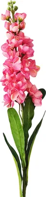 Produktbild von 1pc künstliche Blume lebendige Heimdekoration DIY gefälschte violette Blumenzweigfotografie Requisite für Hochzeit-Dunkelpink