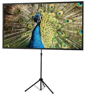 Produktbild von Celexon 1091741, Manuell, 112 cm, 199 cm, 16:9