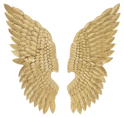 Immagine prodotto di Mauro Ferretti Pannello Ali Beauty coppia, 37,5x3x100 cm