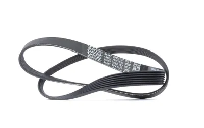 Produktbild von DAYCO Keilrippenriemen 1127,0mm für RENAULT MEGANE III Grandtour (KZ0/1) 7PK1127