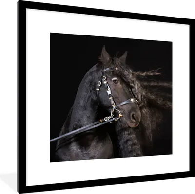 Produktbild von MuchoWow® Gerahmtes Poster Pferd - Halfter - Mähne 40x40 cm - Poster mit Schwarzem Bilderrahmen Wandposter Rahmen Foto Bilder - Poster - Plakat im Rahmen