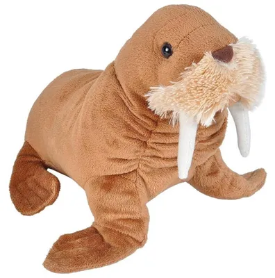 Imagen del producto de Wild Republic - Peluche - Cuddlekins Mini - Morsa