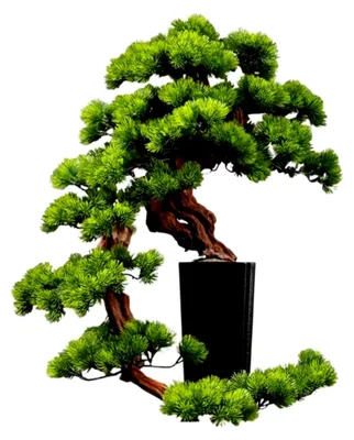 Produktbild von Simulation Topfpflanze Bonsai Baum für Innenräume