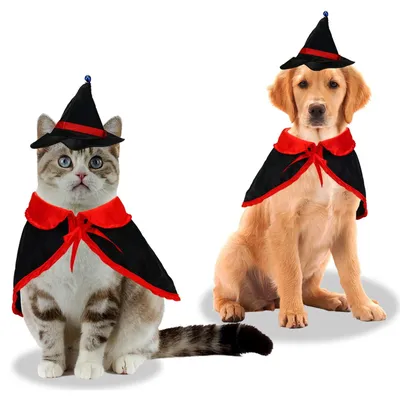 Immagine prodotto di Costumi divertenti per Halloween per cani e gatti