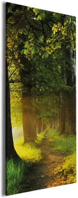 Produktbild von Wallario Premium Leinwandbild Allee bei Sonnenuntergang in Größe 60 x 150 cm