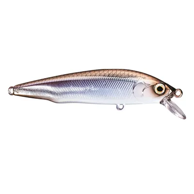 Immagine prodotto di Shimano Cardiff Wing Flat 7.0cm 5.0g Pond Smelt Wobbler