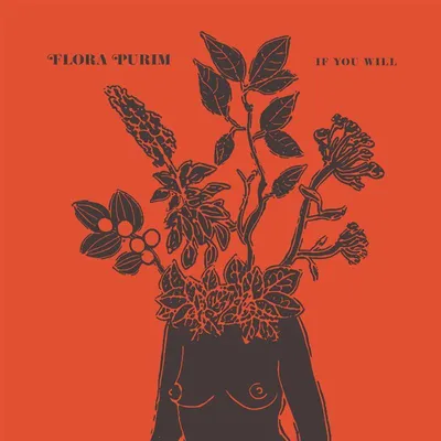 Immagine prodotto di If You Will (edizione in vinile trasparente)