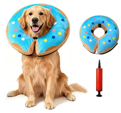 Image de Collier de protection gonflable pour chiens et chats - Taille XL - Bleu