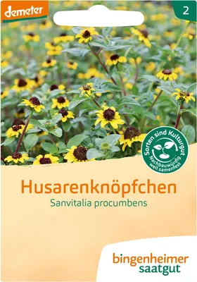 Artikelbild 2 von 'BIO Husarenknöpfchen' aus der Kategorie Blumensamen
