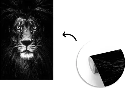 Obrázek produktu pro MuchoWow® Fototapety do obývacího pokoje nebo ložnice tapety vinylové motivy tapety Zvíře - Portrét - Černobílý 150x220cm