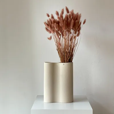 Produktbild von Lagurus Hasenschwanz Samtgras Trockenblumen 60-70cm Blumendeko
