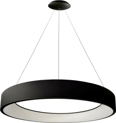 Immagine prodotto di Light Impressions Deko-Light apparecchio a sospensione Sculptoris 800 mm, 60,0 W, 3000/4000 K, nero 220-240V AC/50-60Hz 60,00 W 3000/4000 K 4100 lm nero scuro RAL 9005 342188