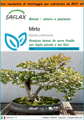Immagine prodotto di SAFLAX Garden in the bag - Mirto - 30 semi - Myrtus