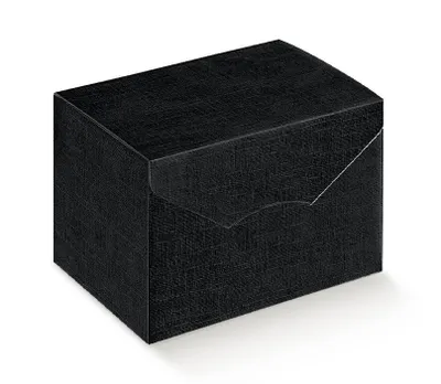 Produktbild von Luxus Geschenkbox aus Artpaper SCHWARZ, Format 24,5x24,5x15cm, 30 St.