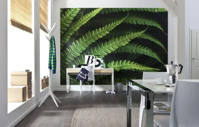 Produktbild von Komar Vlies Fototapete "Farn", grün, 350 x 250 cm