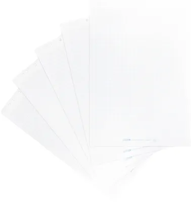 Produktbild von Landré Flipchart Papier kariert 20 Blatt je Block 6 fach Lochung 5 Stück Büro Luxus Packung großartig
