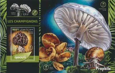 Produktbild von Briefmarken Dschibuti 2016 Mi Block 331 (kompl. Ausg.) postfrisch Pilze