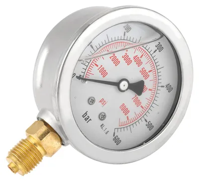 Image de 0–600 bars G 1/4 pouce 63 mm Cadran Manomètre hydraulique pour pression d'eau Appareil de mesure