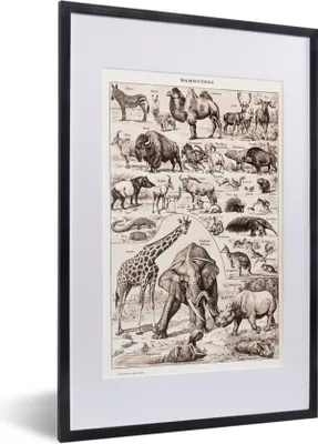 Produktbild von MuchoWow® Gerahmtes Poster Tiere - Elefant - Schwarz - Weiß 40x60 cm - Poster mit Schwarzem Bilderrahmen Wandposter Rahmen Foto Bilder - Poster in Rahmen