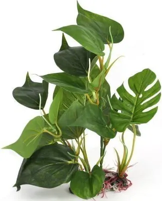 Produktbild von Aquarienpflanze Kunstpflanzen für Aquarium, 30 cm, langlebig und ungiftig, Algenbeständig, mit beschwertem
