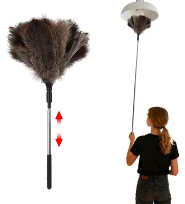 Image de Plumeau plumeau à autruche - Manche télescopique 18 à 120 cm - Lavable