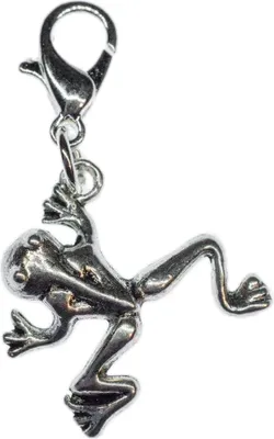 Produktbild von Frosch Charm Anhänger Bettelarmband Miniblings Charms Kröte Prinzessin silber
