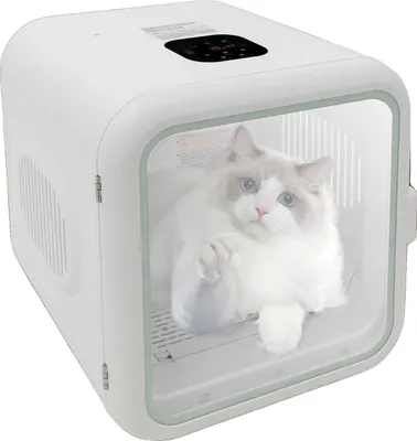 Obrázek produktu pro Fén na vlasy pro domácí mazlíčky, kapacita 62 l, výkon 800 W, nastavitelná teplota 22–45 °C, 3 stupně,  CE