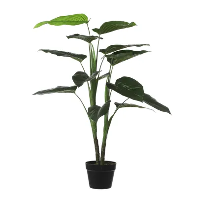 Zdjęcie produktu dla Sztuczna roślina Mica Decorations Philodendron - H100 x Ø70 cm - Zielony