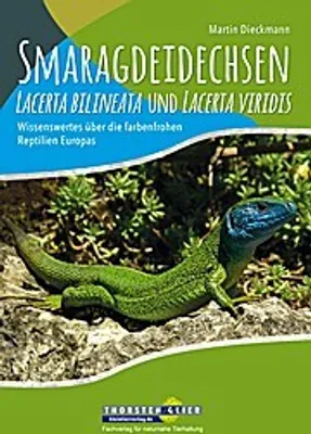 Obrázok produktu pre Smaragdeidechsen Lacerta bilineata und Lacerta viridis