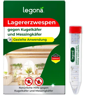 Produktbild von Legona Lagererzwespen gegen Kugelkäfer und Messingkäfer – 10 Röhrchen, 100 m²